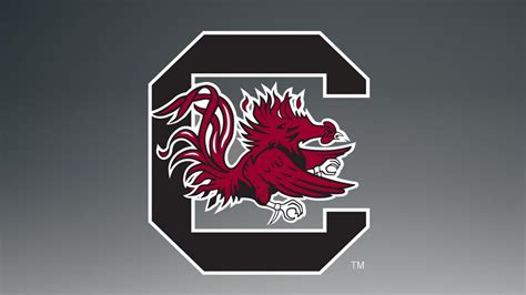 Gamecock baseball - The Official Athletic Site of the University of South Carolina Gamecocks, partner of WMT Digital. The most comprehensive coverage of the University of South Carolina Gamecocks Baseball on the web with highlights, scores, …